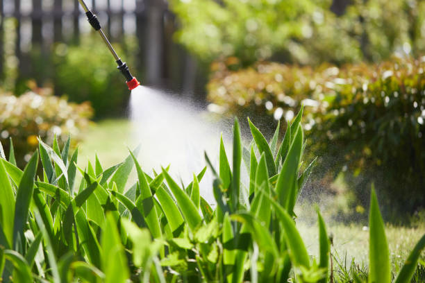 Tamper-Resistant Bait Stations for Rodents in Chadbourn