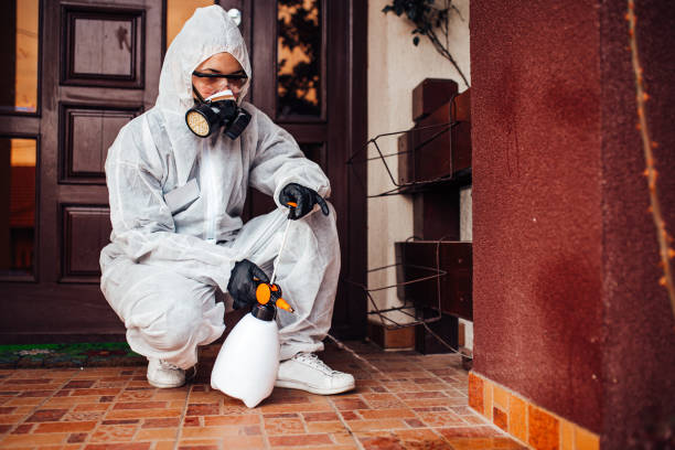 Attic and Crawl Space Rodent Treatment in Chadbourn