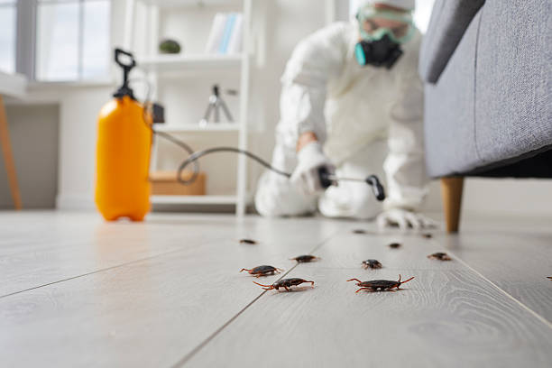 Commercial Rodent Management in Chadbourn